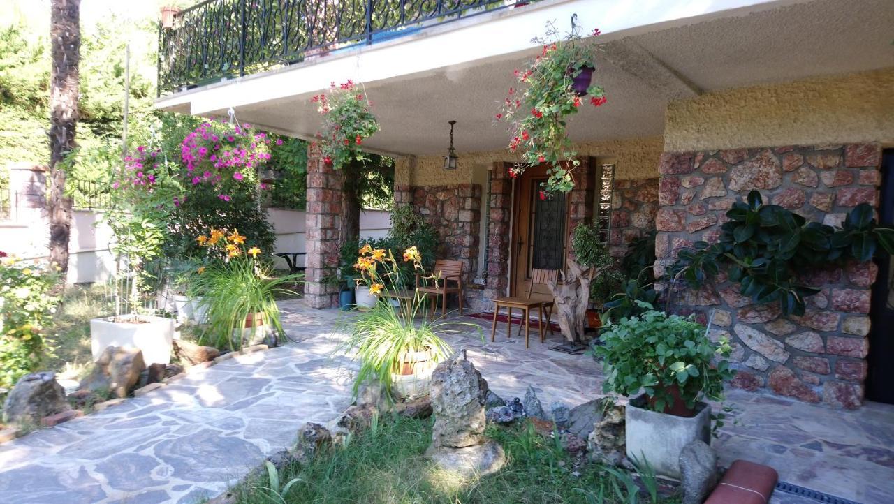 Appartement 48 M2 Avec Jardin Au Rdc Dans Villa A 5 Min A Pied Des Thermes De Vernet-Les-Bains, Location De Samedi A Samedi Екстериор снимка