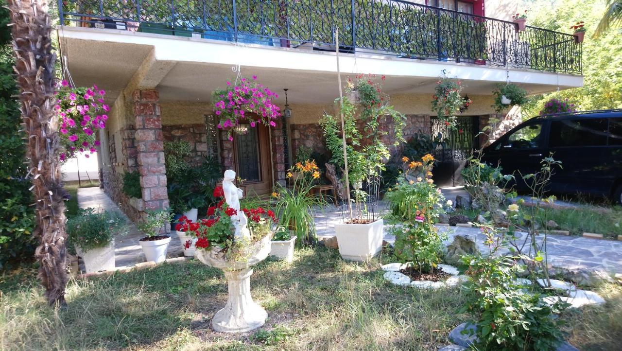 Appartement 48 M2 Avec Jardin Au Rdc Dans Villa A 5 Min A Pied Des Thermes De Vernet-Les-Bains, Location De Samedi A Samedi Екстериор снимка